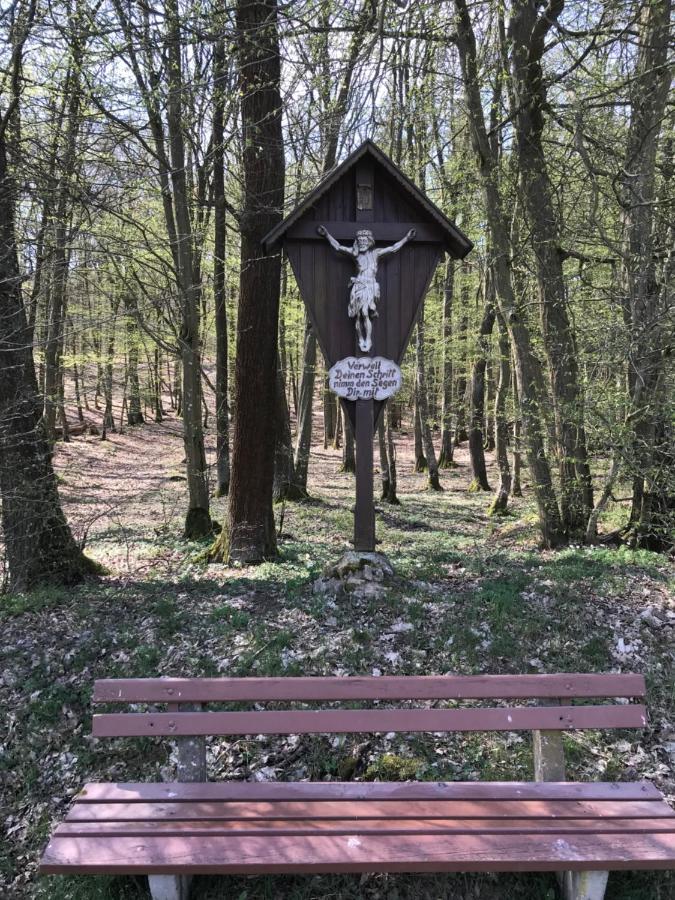 Pension-Ferienwohnung Liesbachtal Direkt Am Waldrand Bayerische Rhoen Schönau an der Brend エクステリア 写真