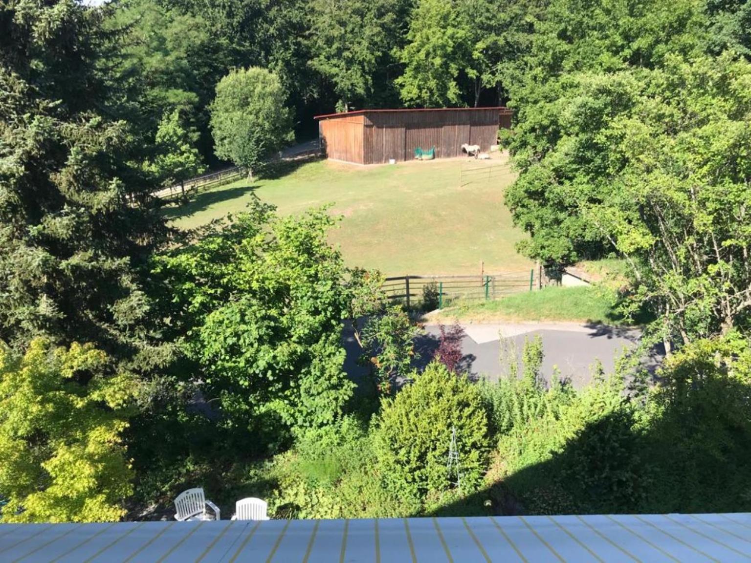 Pension-Ferienwohnung Liesbachtal Direkt Am Waldrand Bayerische Rhoen Schönau an der Brend 部屋 写真