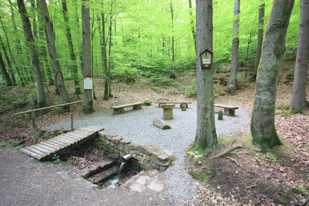 Pension-Ferienwohnung Liesbachtal Direkt Am Waldrand Bayerische Rhoen Schönau an der Brend エクステリア 写真