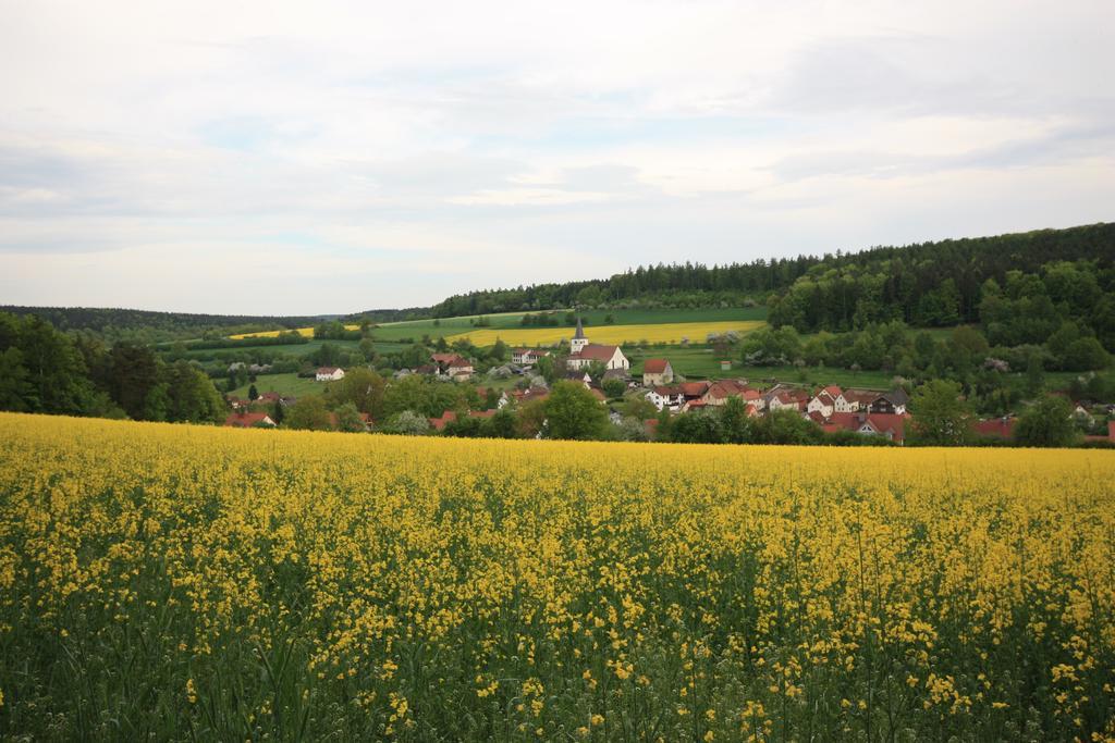 Pension-Ferienwohnung Liesbachtal Direkt Am Waldrand Bayerische Rhoen Schönau an der Brend エクステリア 写真